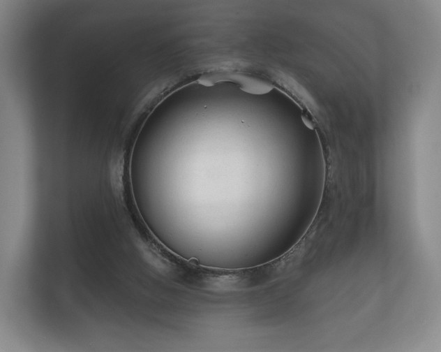 X0000112180058200908141334