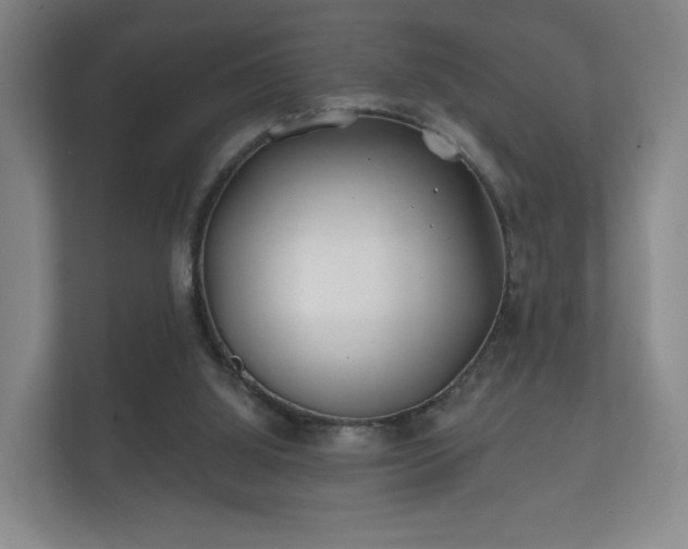 X0000112180060200908141334