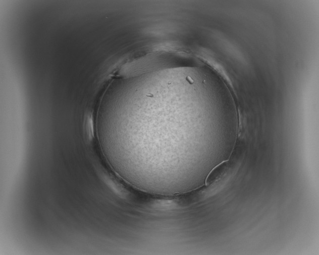 X0000112180061200908141334