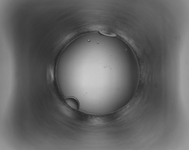 X0000112180062200908141334