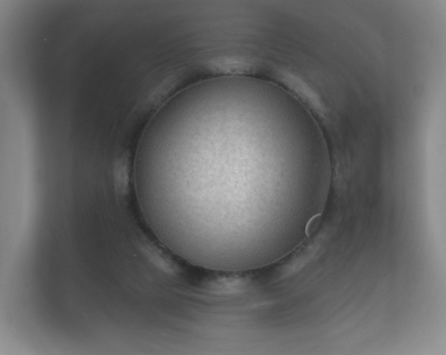 X0000112180065200908141334