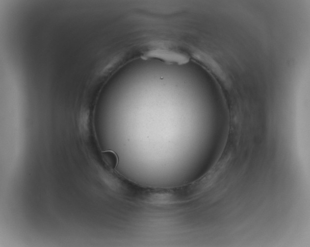 X0000112180066200908141334