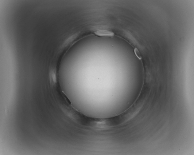 X0000112180068200908141334