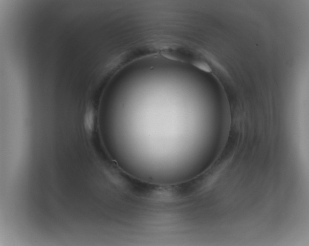 X0000112180076200908141334