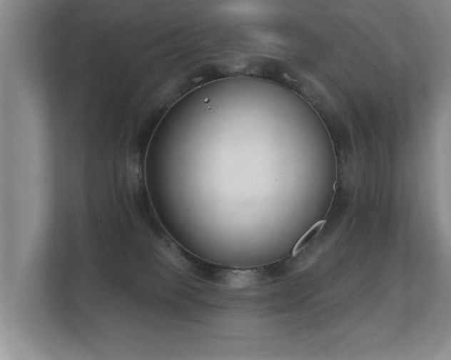 X0000112180085200908141334