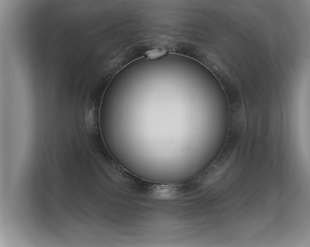 X0000112180088200908141334