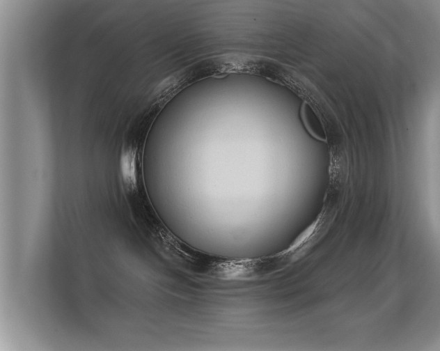 X0000112180094200908141334