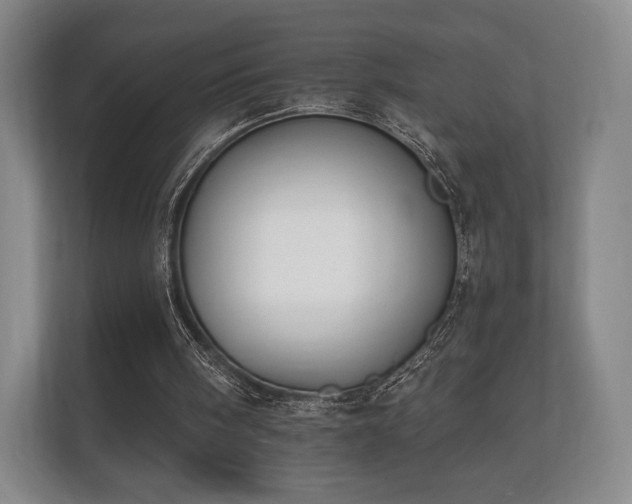 X0000112180098200908141334