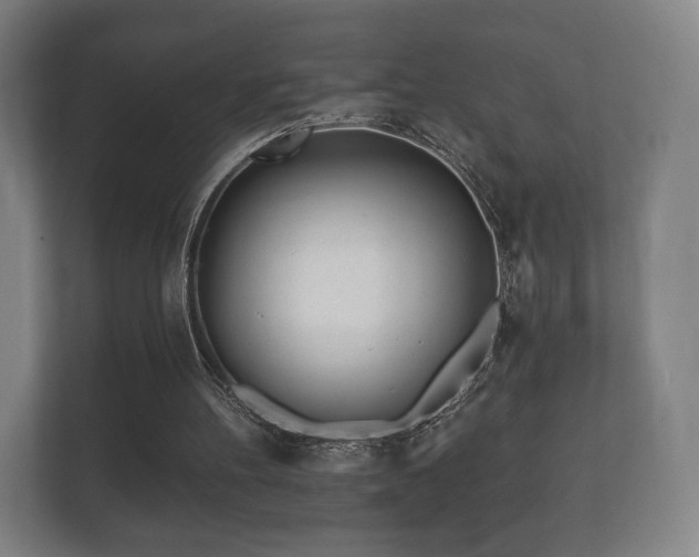 X0000112180100200908141334