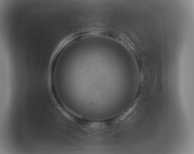 X0000112180101200908141334