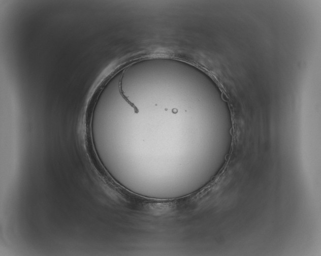 X0000112180102200908141334