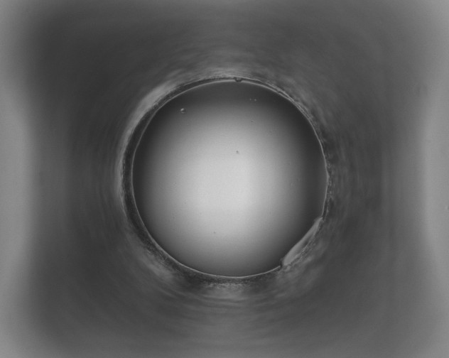 X0000112180104200908141333