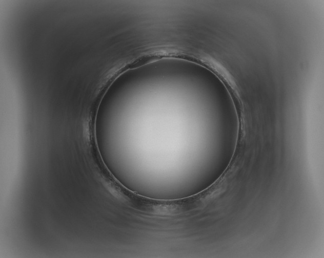 X0000112180105200908141333