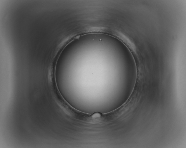 X0000112180107200908141333