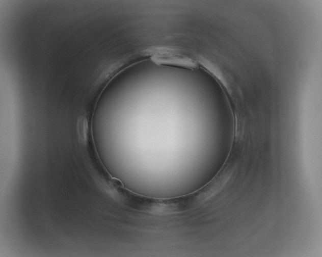 X0000112180109200908141333