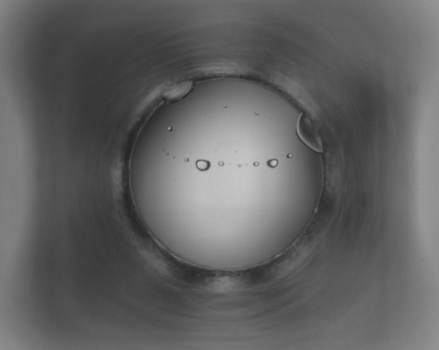 X0000112180111200908141333