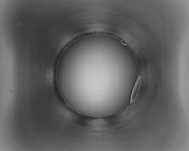 X0000112180112200908141333