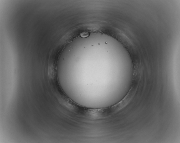 X0000112180136200908141333