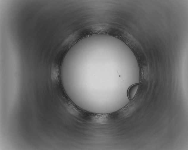 X0000112180138200908141333