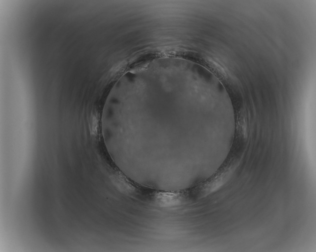 X0000112180139200908141333