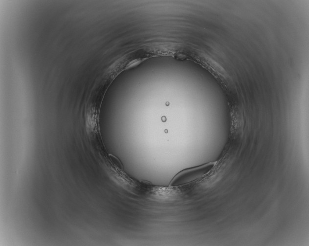 X0000112180141200908141333