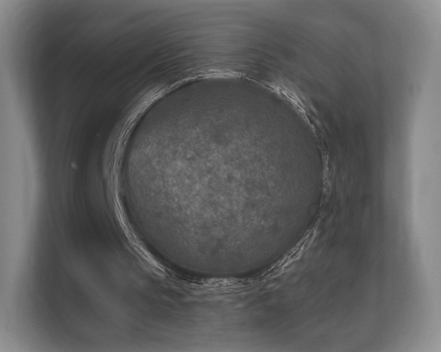 X0000112180145200908141332