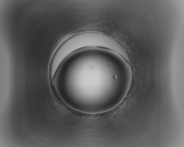 X0000112180148200908141332