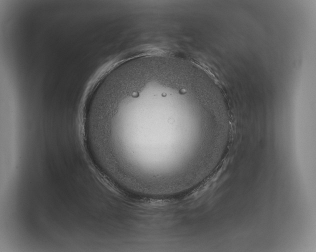 X0000112180149200908141332