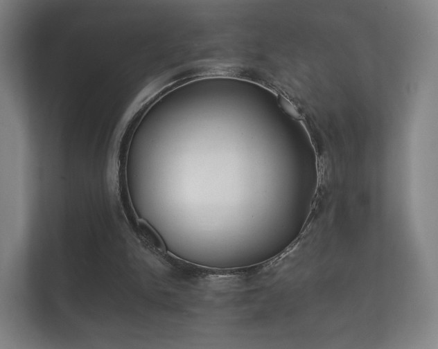 X0000112180150200908141332