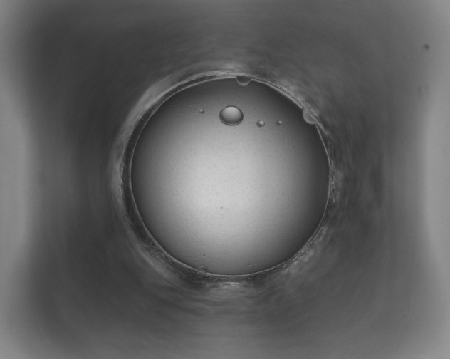 X0000112180151200908141332