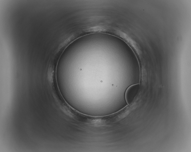 X0000112180153200908141332