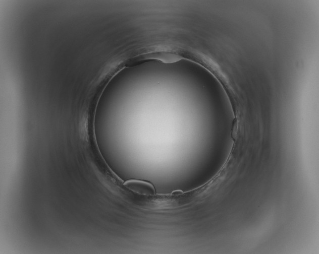 X0000112180154200908141332