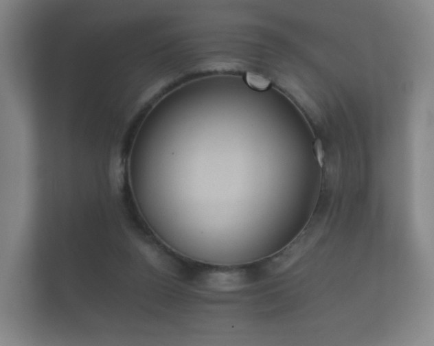 X0000112180160200908141333