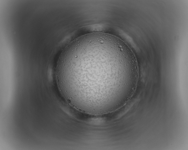 X0000112180161200908141333