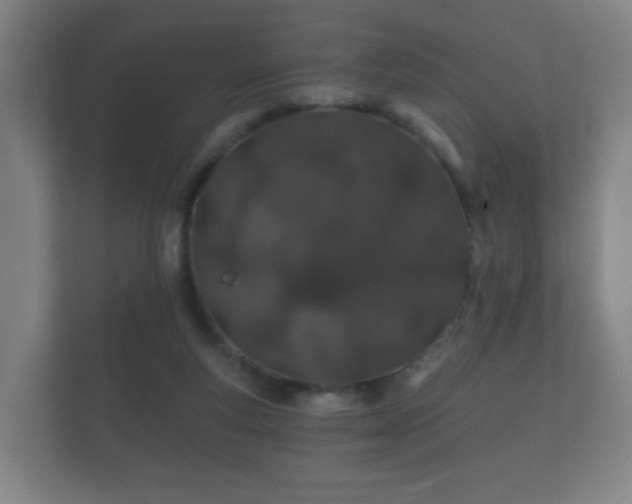 X0000112180163200908141333