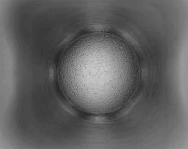 X0000112180165200908141333