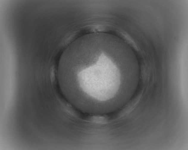 X0000112180169200908141333