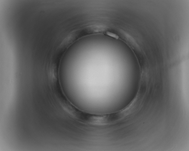 X0000112180170200908141333