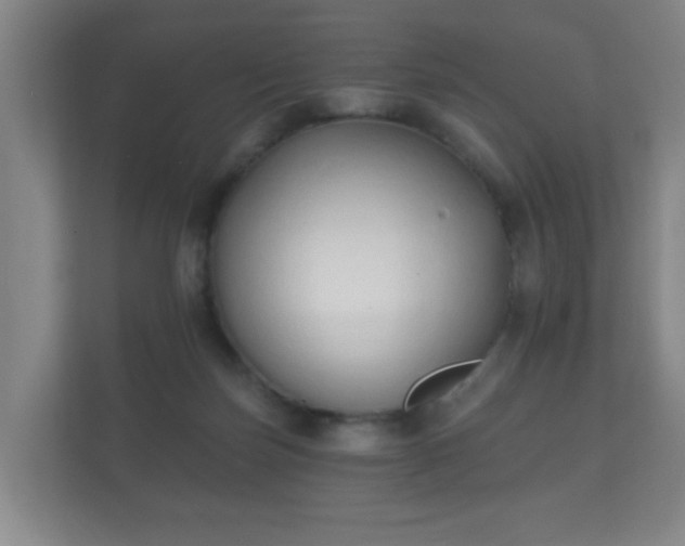 X0000112180171200908141333