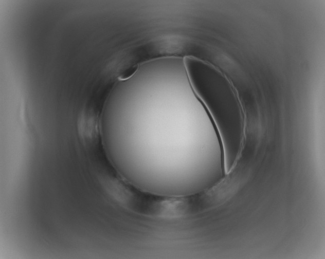 X0000112180172200908141333