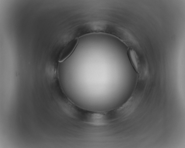 X0000112180176200908141333