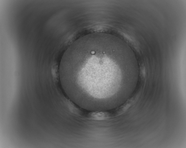 X0000112180181200908141333