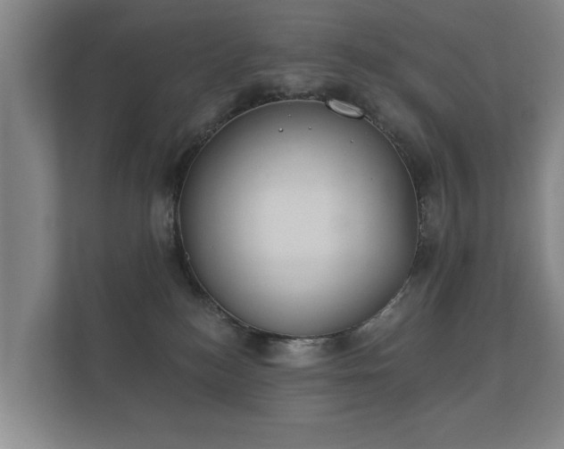 X0000112180184200908141333