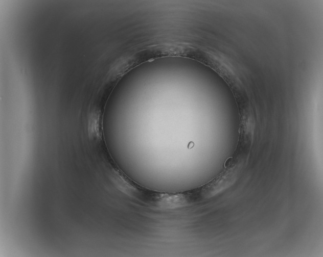 X0000112180185200908141333