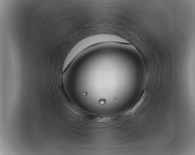 X0000112180186200908141333