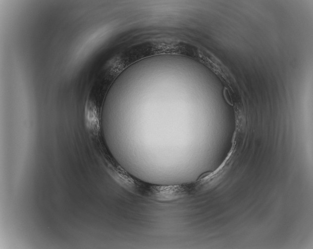 X0000112180191200908141333