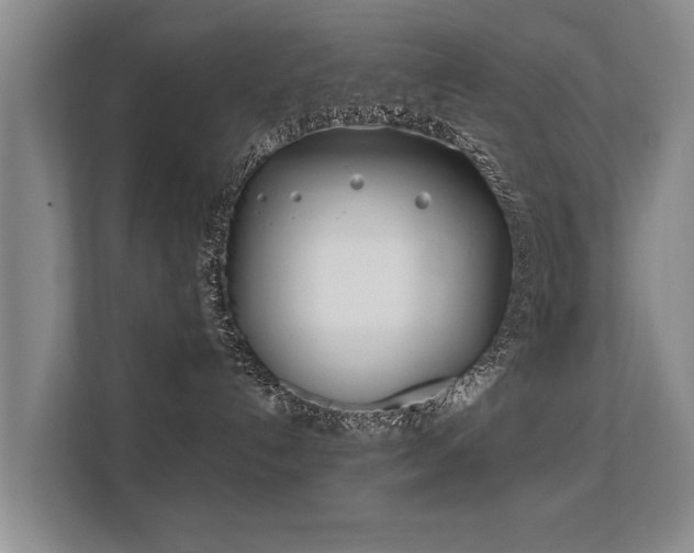 X0000112180192200908141333