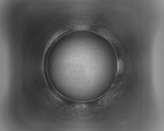 X0000112180195200908141332