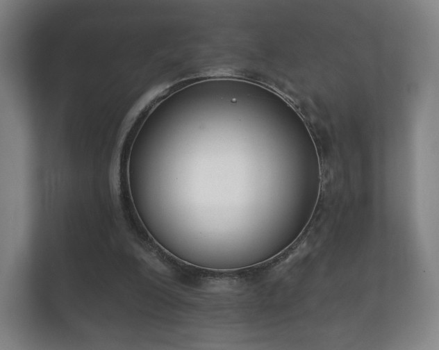 X0000112180200200908141332