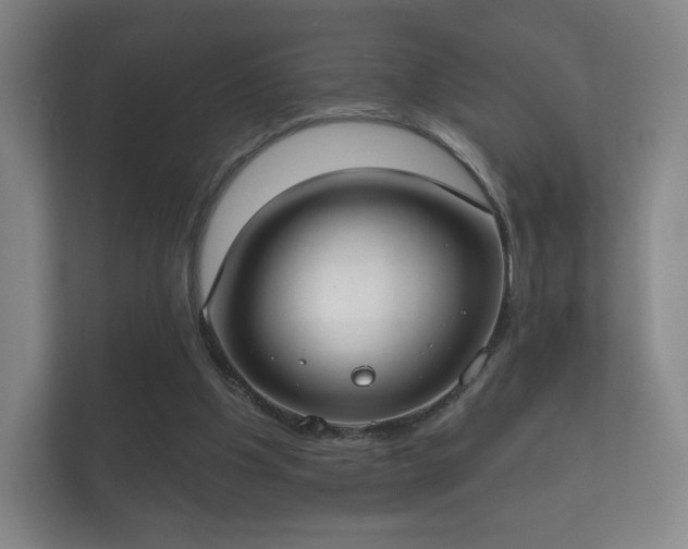 X0000112180201200908141332